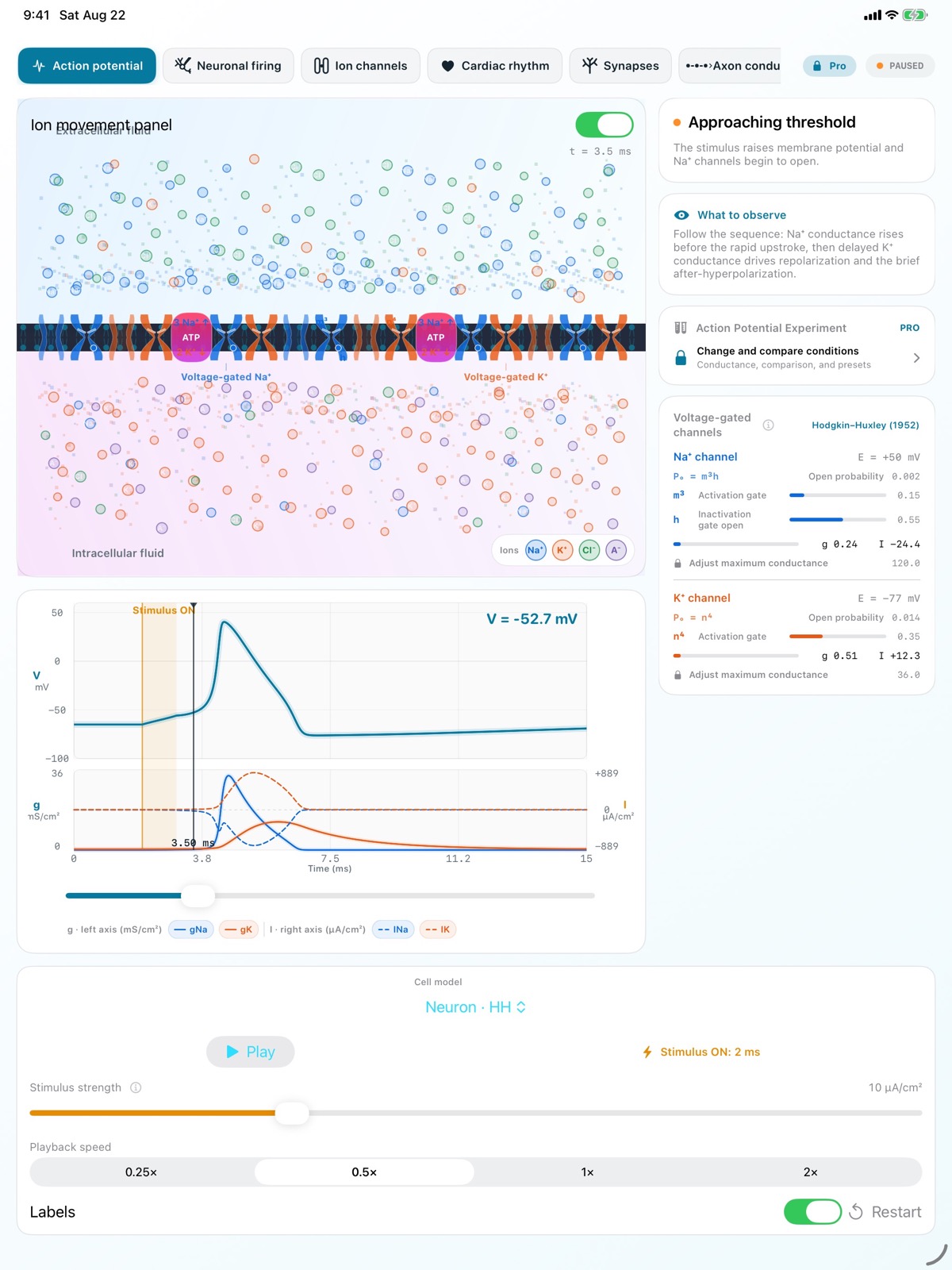 iPad neuronal action-potential screen showing ion particles, membrane channels, voltage, conductance, and current