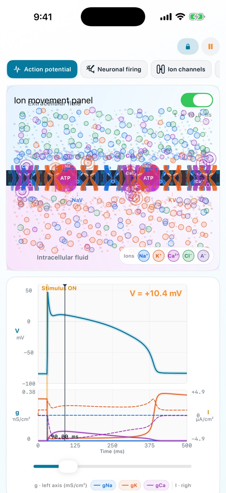 iPhone ventricular-cell action-potential screen